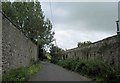 High walls on The Street  near Grove Farm