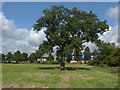 Shortwood Common