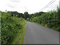 H6333 : Road at Tullybyran by Kenneth  Allen