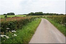 SD4653 : View towards Thurnham Hall by Dave Dunford