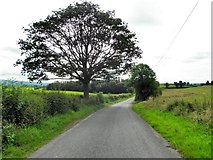 H4078 : Cashty Road, Gortnacreagh by Kenneth  Allen