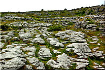 M2300 : The Burren - R480 - Poulnabrone Dolmen Site - Burren Landscape by Joseph Mischyshyn
