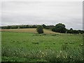 N5071 : Pasture, Clonnageeragh by Richard Webb