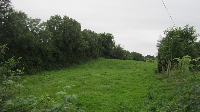 Narrow field