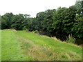 East bank of the Sirhowy, Pontllanfraith