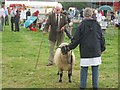 Tenbury Show