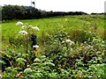 Cormore Townland