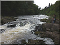 Rapids on the River Garry near Invergarry