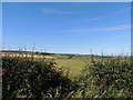 Farmland near Cassillis View