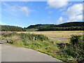 Farmland near Mochrum Wood