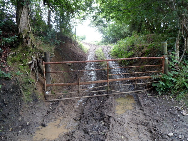 Muddy tracks into a field, Pontllanfraith