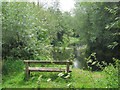 Bench by Colne Brook