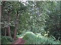 Footpath along Basingstoke Canal