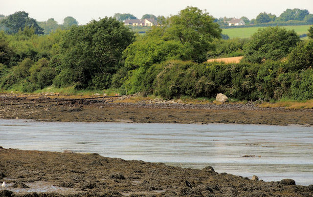 Inter-tidal mud, Reagh Island near Comber (1)