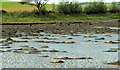 J5265 : Inter-tidal mud, Reagh Island near Comber (2) by Albert Bridge
