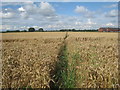 Footpath from Bramwith Lane to Bramwith Lane