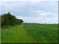ST8792 : Fields near Longfurlong by Nigel Mykura