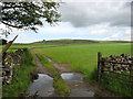 Fields near Street, east of Orton