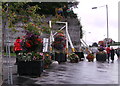 Floral Display at Prince Charles Quay