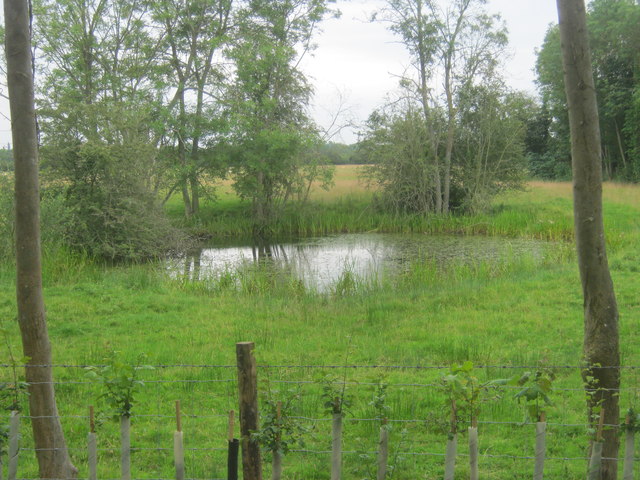 Pond at Cotheridge
