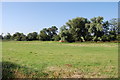 Fields near Preston Brook