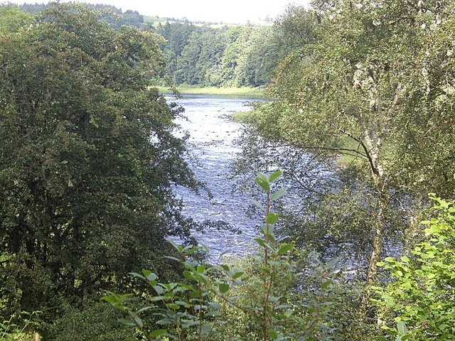 A glimpse of the Dee from Carlogie Wood