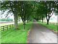 ST8590 : Driveway to Down Farm by Nigel Mykura