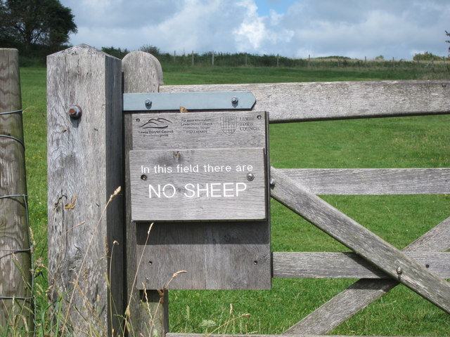 In this field there are No Sheep