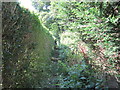 A path leading to West Park Road