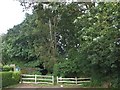 Footpath entrance into Borthwood Copse