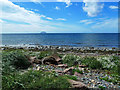 Ailsa Craig View