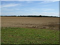 Farmland off High Dike