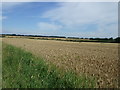 Farmland near Londonthorpe