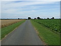 Track to Welby Pasture Farm