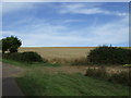 Farmland, Sudbrook Hill Farm