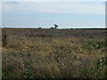 Farmland off Mill Lane