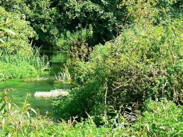 A closer view of the Ampney Brook, Ampney St Peter, Gloucestershire