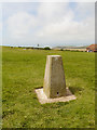 TV5995 : Triangulation Pillar, Beachy Head by David Dixon