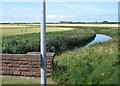 The River Alt from the A565