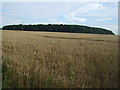 Farmland towards Cockle Holt