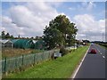 Garden centre on the A565 near Tarleton