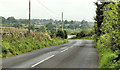 The Deerpark Road near Larne (2)