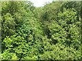 Looking along a disused railway line