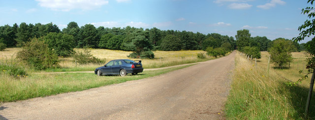 Road to Little Heath military site, Barnham