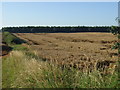 Farmland, Aerodrome Farm