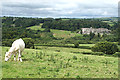 North Bovey: towards Bovey Castle