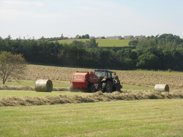 Making hay near Maddiston
