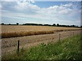 SE6144 : Farmland off the Selby cycle route by DS Pugh