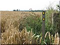 Waymarks and wheatfields