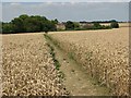 Path near Streetly End